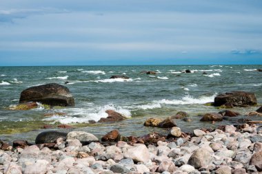 kayalar ve yeşil vegetat Baltık Denizi'nin rahat plaj