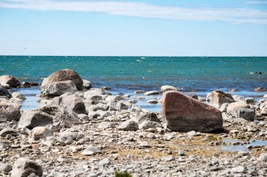 kayalar ve yeşil vegetat Baltık Denizi'nin rahat plaj