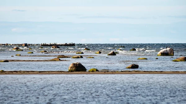 Praia confortável do mar baltico com rochas e vegetat verde — Fotografia de Stock