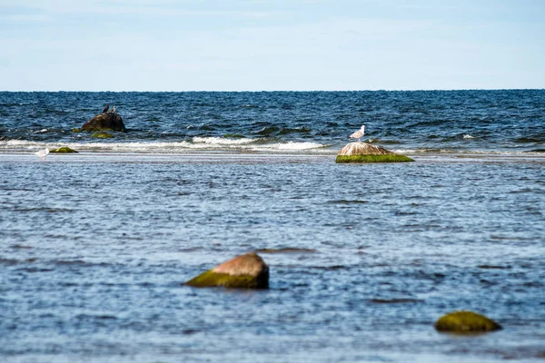 Kényelmes beach, a Balti-tenger, a sziklák és a zöld vegetat — Stock Fotó