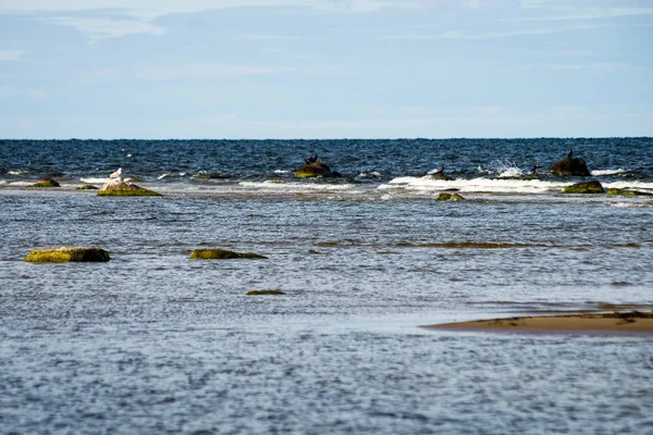 Kényelmes beach, a Balti-tenger, a sziklák és a zöld vegetat — Stock Fotó