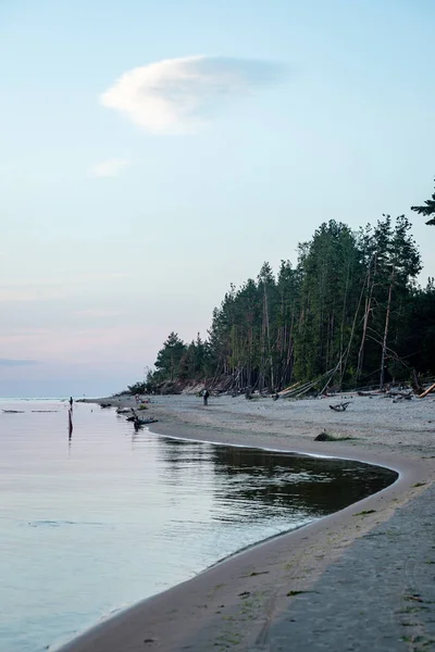 Komfortabler Ostseestrand mit Felsen und grüner Vegetation — Stockfoto