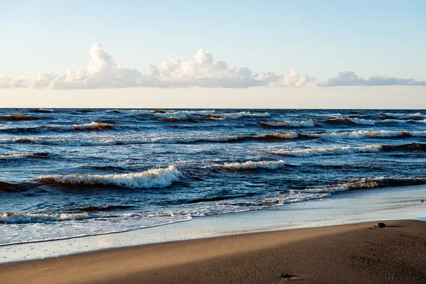 Playa confortable del mar báltico con rocas y vegetación verde — Foto de Stock