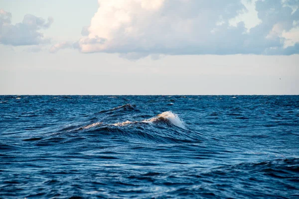 R üzerinde çökmesini su ile Baltık Denizi'nin rahat plaj — Stok fotoğraf