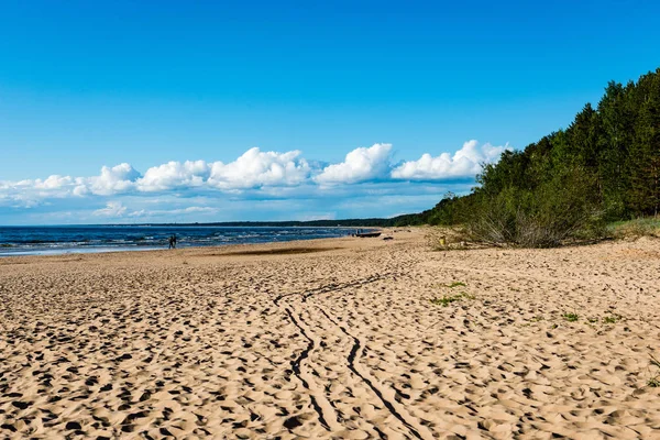 Зручний пляж Балтійського моря з камінням і зеленою вегетаріанкою — стокове фото