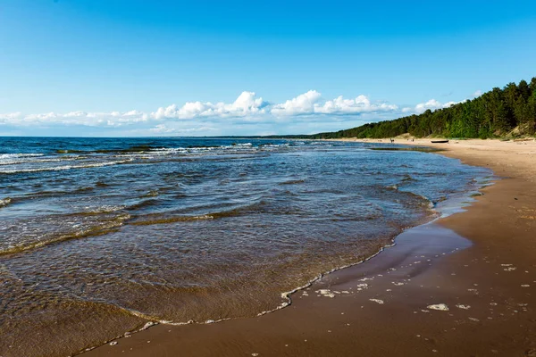 Confortevole spiaggia del mare baltico con scogli e vegetazione verde — Foto Stock