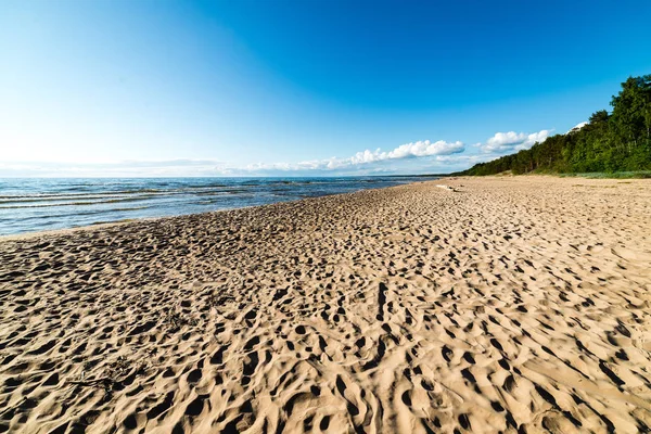 Komfortowe plaży Morza Bałtyckiego, z skał i zieloną roślinnością — Zdjęcie stockowe