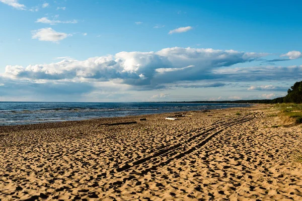 Άνετη παραλία της Βαλτικής θάλασσας με τους βράχους και πράσινο vegetat — Φωτογραφία Αρχείου
