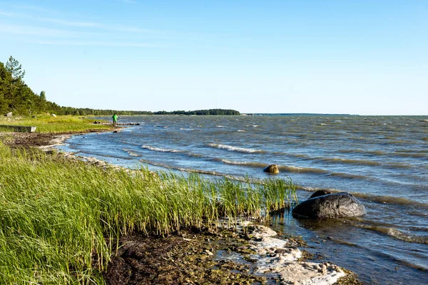 Comfortabele strand van de Oostzee met rotsen en groene vegetat — Stockfoto