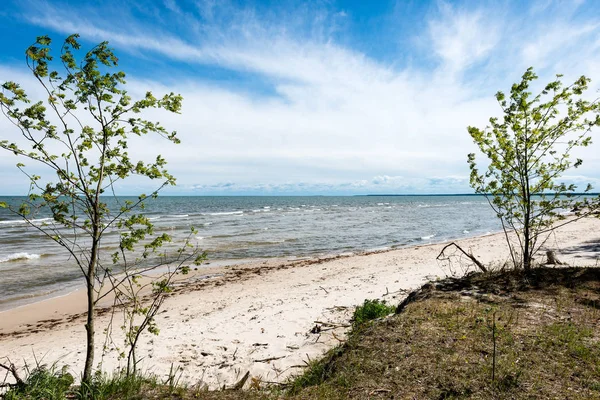 Άνετη παραλία της Βαλτικής θάλασσας με τους βράχους και πράσινο vegetat — Φωτογραφία Αρχείου