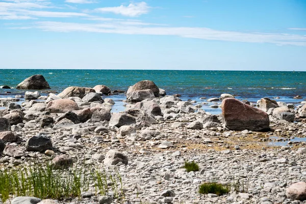Příjemné pláže Baltského moře s kameny a zelené vegetat — Stock fotografie