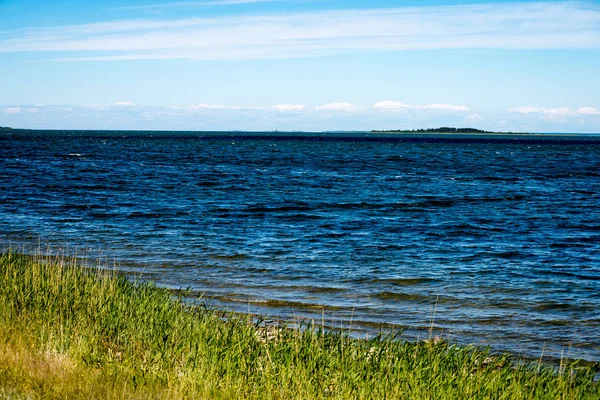 Playa confortable del mar báltico con rocas y vegetación verde —  Fotos de Stock