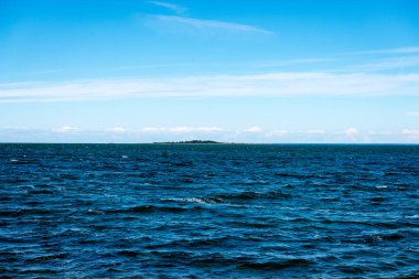 kayalar ve yeşil vegetat Baltık Denizi'nin rahat plaj