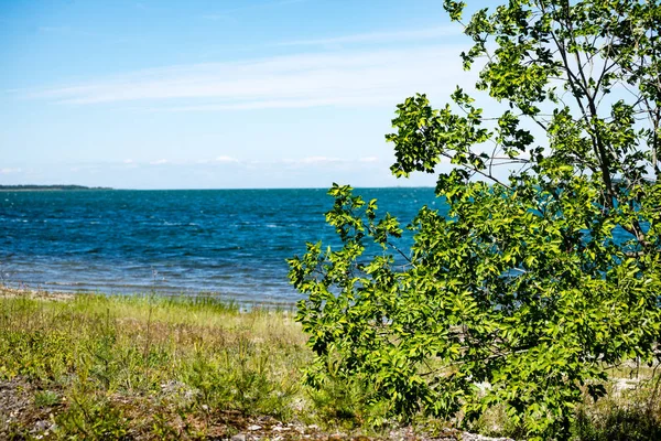 Comfortabele strand van de Oostzee met rotsen en groene vegetat — Stockfoto