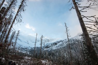 soğuk sabah kış kar ve mavi doğal ile dağlarda