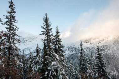 soğuk sabah kış kar ve mavi doğal ile dağlarda