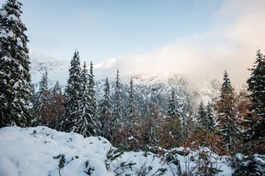soğuk sabah kış kar ve mavi doğal ile dağlarda
