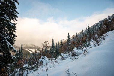 soğuk sabah kış kar ve mavi doğal ile dağlarda