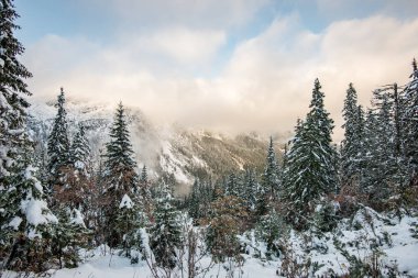 soğuk sabah kış kar ve mavi doğal ile dağlarda