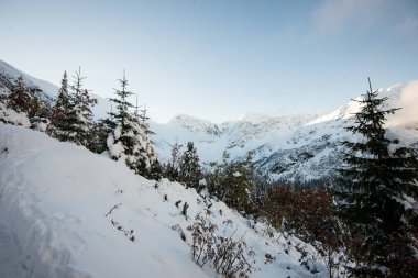 soğuk sabah kış kar ve mavi doğal ile dağlarda