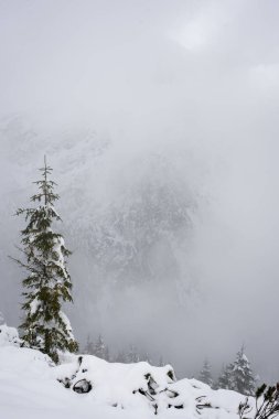 soğuk sabah kış kar ve mavi doğal ile dağlarda