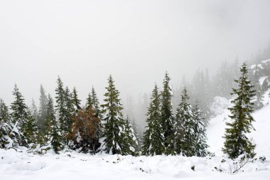 soğuk sabah kış kar ve mavi doğal ile dağlarda