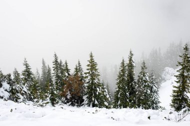 soğuk sabah kış kar ve mavi doğal ile dağlarda