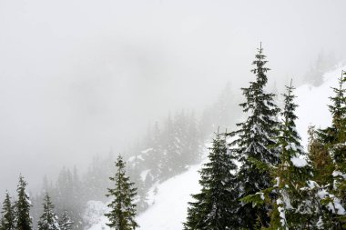 soğuk sabah kış kar ve mavi doğal ile dağlarda