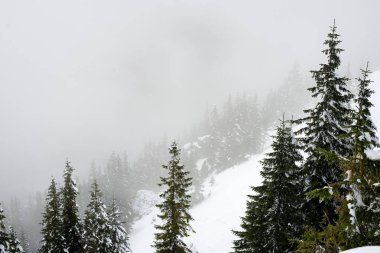 soğuk sabah kış kar ve mavi doğal ile dağlarda