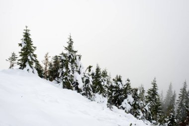 soğuk sabah kış kar ve mavi doğal ile dağlarda