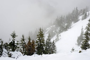 soğuk sabah kış kar ve mavi doğal ile dağlarda