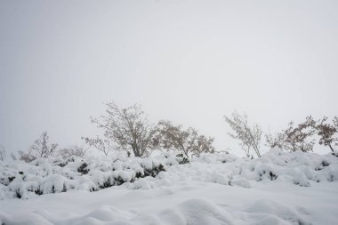 soğuk sabah kış kar ve mavi doğal ile dağlarda