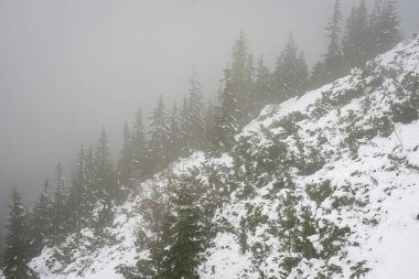 soğuk sabah kış kar ve mavi doğal ile dağlarda