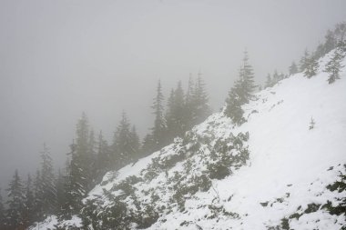 soğuk sabah kış kar ve mavi doğal ile dağlarda