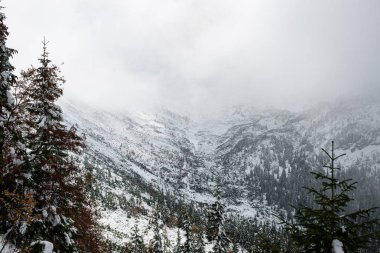 soğuk sabah kış kar ve mavi doğal ile dağlarda