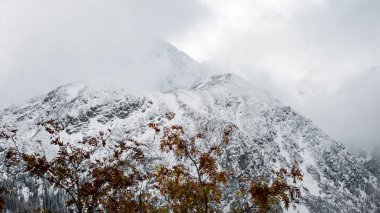 soğuk sabah kış kar ve mavi doğal ile dağlarda