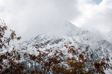 soğuk sabah kış kar ve mavi doğal ile dağlarda