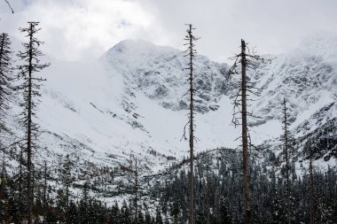 soğuk sabah kış kar ve mavi doğal ile dağlarda