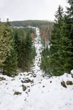 soğuk sabah kış kar ve mavi doğal ile dağlarda