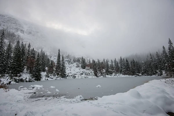 Manhã fria nas montanhas no inverno com neve e céu azul — Fotografia de Stock