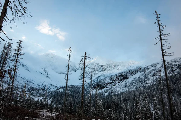 寒冷的早晨，在山上冬天雪和蓝色 skie — 图库照片