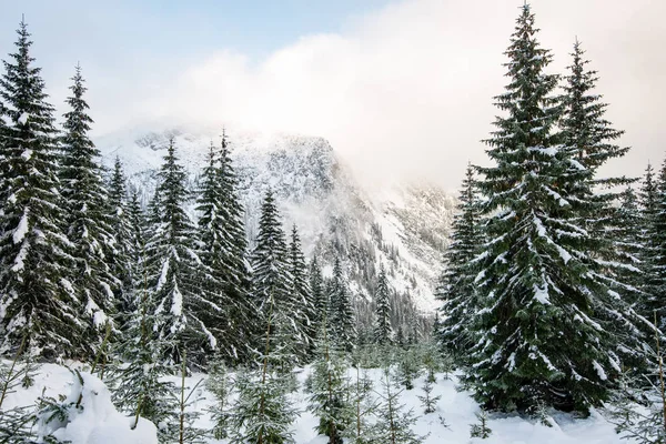 Mañana fría en las montañas en invierno con nieve y esqui azul — Foto de Stock