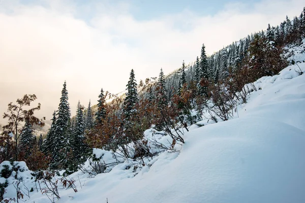 Mañana fría en las montañas en invierno con nieve y esqui azul — Foto de Stock