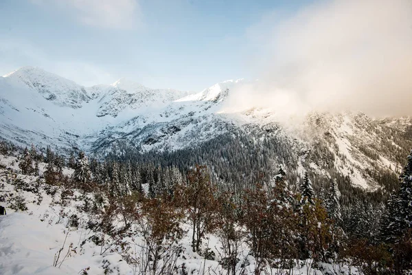 Matin froid dans les montagnes en hiver avec neige et ciel bleu — Photo