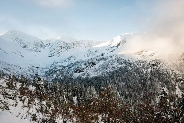 Manhã fria nas montanhas no inverno com neve e céu azul — Fotografia de Stock
