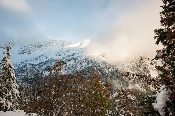 soğuk sabah kış kar ve mavi doğal ile dağlarda