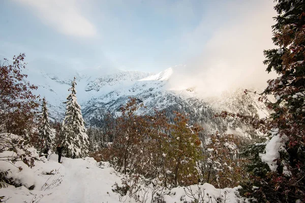 soğuk sabah kış kar ve mavi doğal ile dağlarda