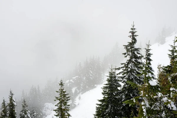 soğuk sabah kış kar ve mavi doğal ile dağlarda
