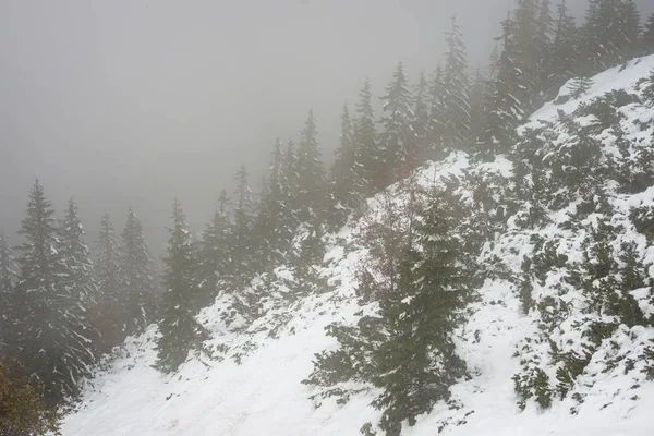 soğuk sabah kış kar ve mavi doğal ile dağlarda