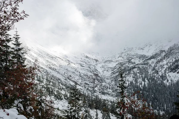 Chladné ráno v horách v zimě sníh a modré skie — Stock fotografie